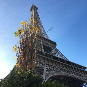 Meet your Posher, Lindsey